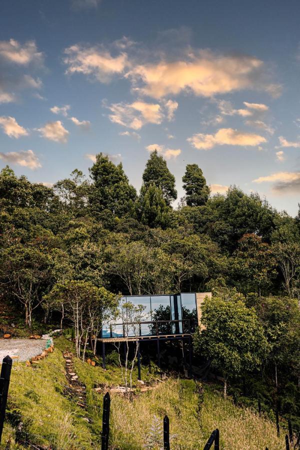 Giueg Refugio Medellín